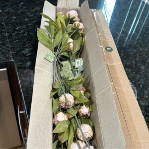 Ashland Tan Peony- 8 stems- NWT. Last set available